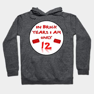 IN BRICK YEARS I AM ONLY 12 Hoodie